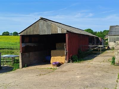Picture 14